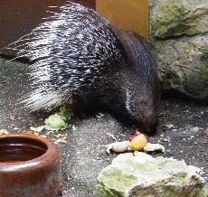 Lina im Zoo Hoyerswerda